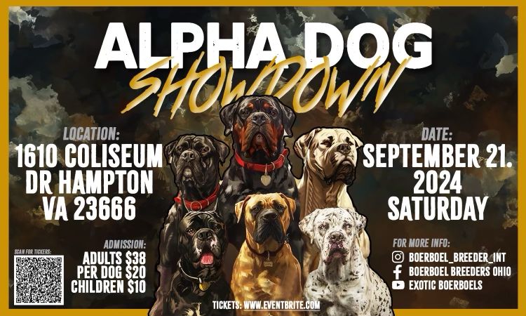 Alpha Dog Showdown